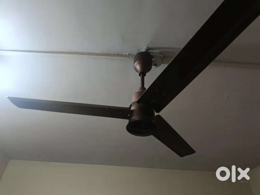 REMOTE CONTROL OPERATIVE FAN POLYCAB