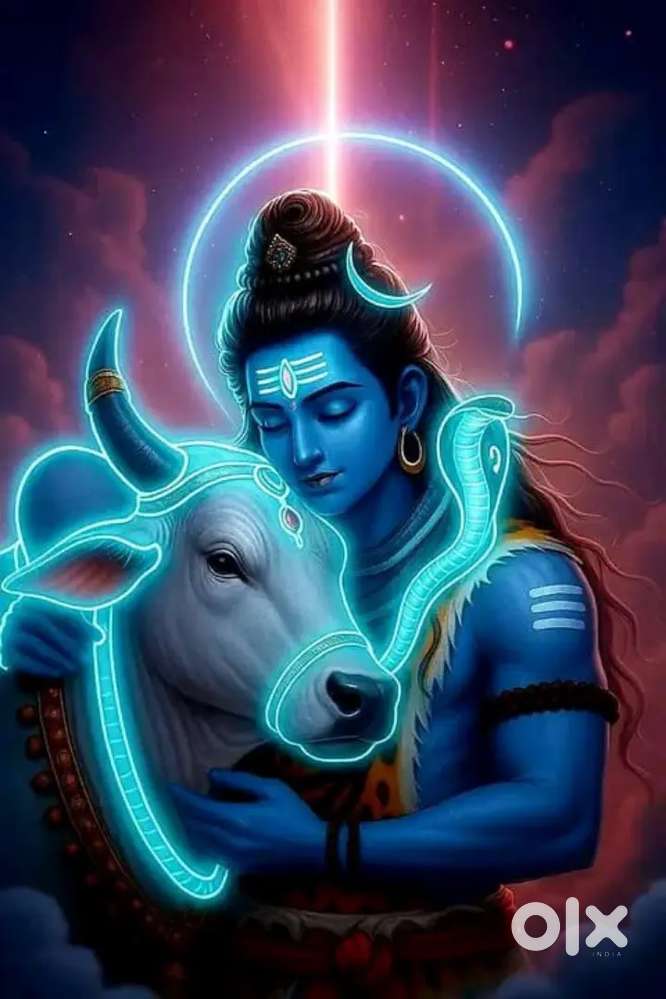 Room sharing vale contact kre