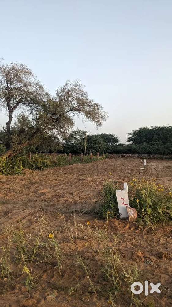 INDANA PALACE SARDAR SAMAND ROAD
