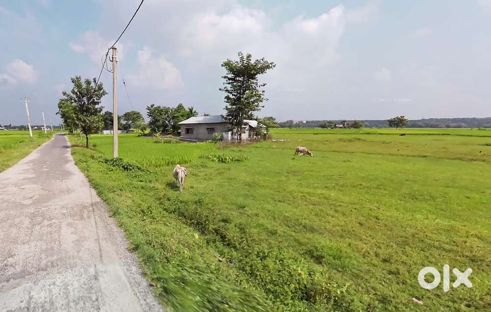 5 katha Registered plot for sale in Naxalbari