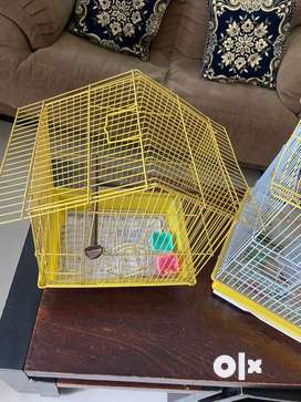 Birds cage small size