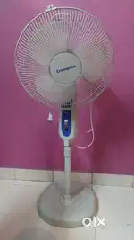 Crompton pedestal fan