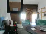Office management only for girl