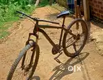 29 T nongear cycle