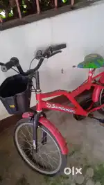 Normal  condition