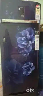 Samsung 2024