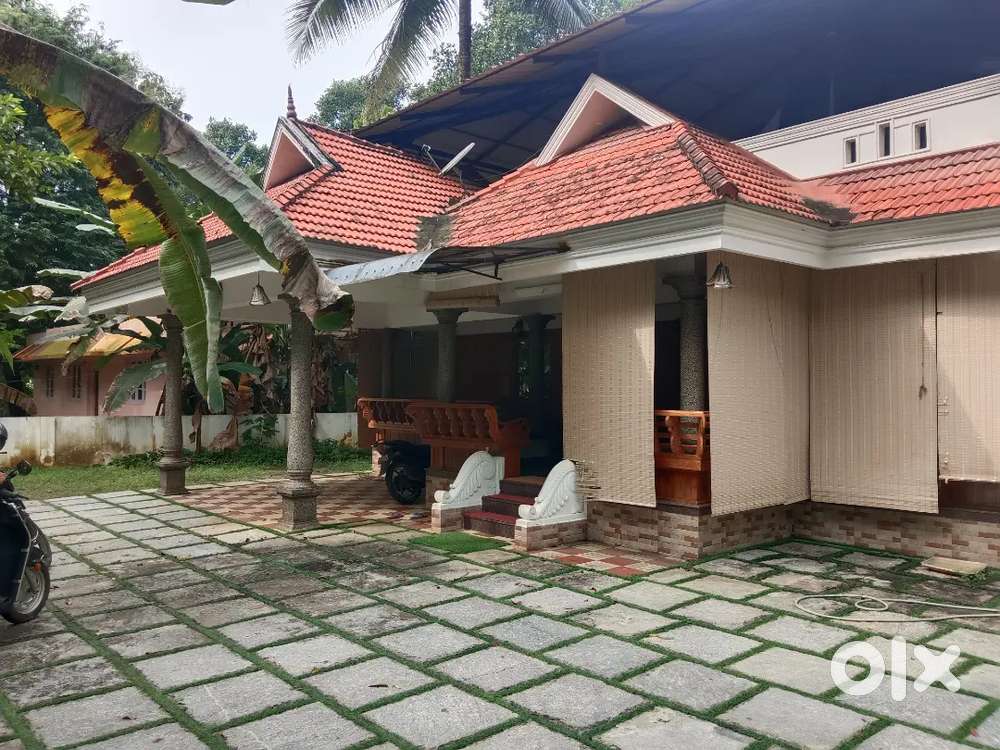 House for rent