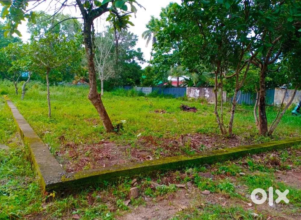 8CENT RESIDENTIAL PLOT FOR SALE IN CHERTHALA NEAR Govt Polytechnic