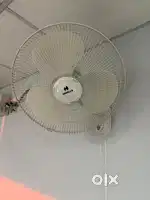 Havel's wall Fan