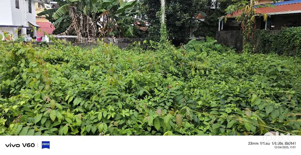 7 CENTS PRIME RESIDENCIAL PLOT FOR SALE NEAR ANAYARA