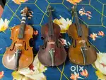 indian old violin each 2500