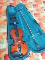 Regeira 4/4 violin with pickup.