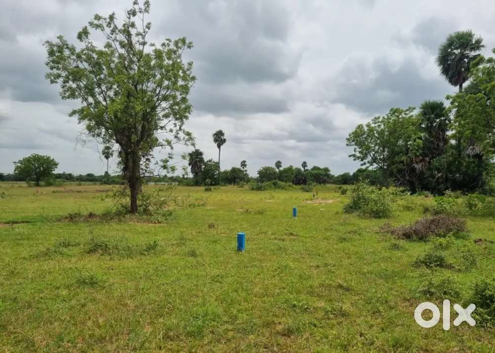 Plots for sale 10 plots in rudraram