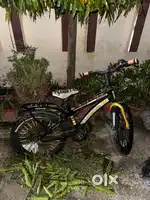 Best cycle for 5 to 10 years