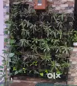 Vertical garden stand with 80 pot.