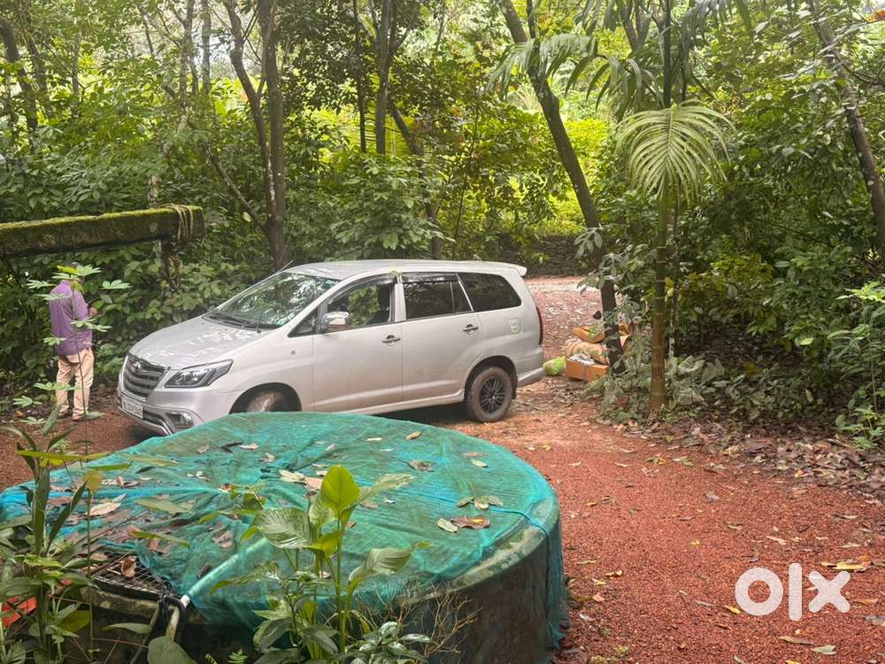 Old house with land for sale