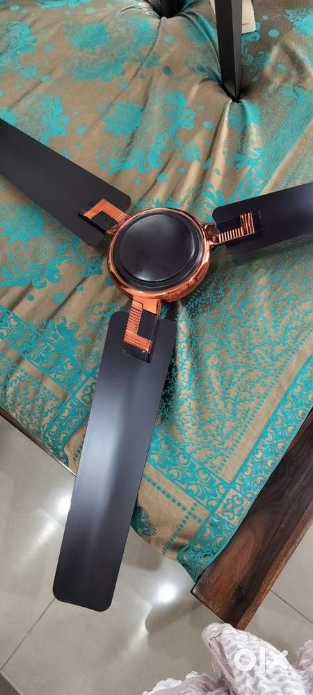 Bajaj Ceiling Fan  Excellent condition