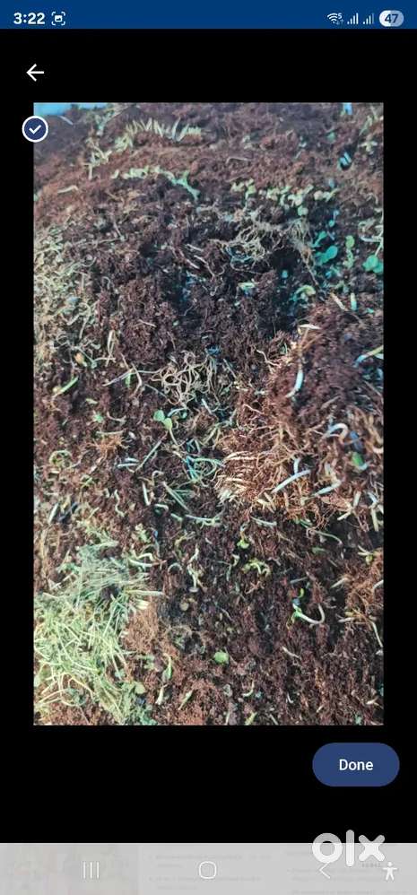 Selling Low EC cocopeat, used only once for growing microgreens.