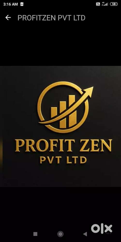 Online Work 0 investment