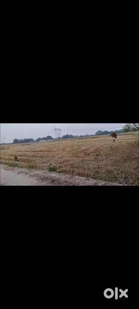 ग्राम सभा दादूपुर में सड़क के बगल जमीन बिकाऊ है।