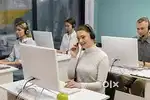 hindi tally caller fresher