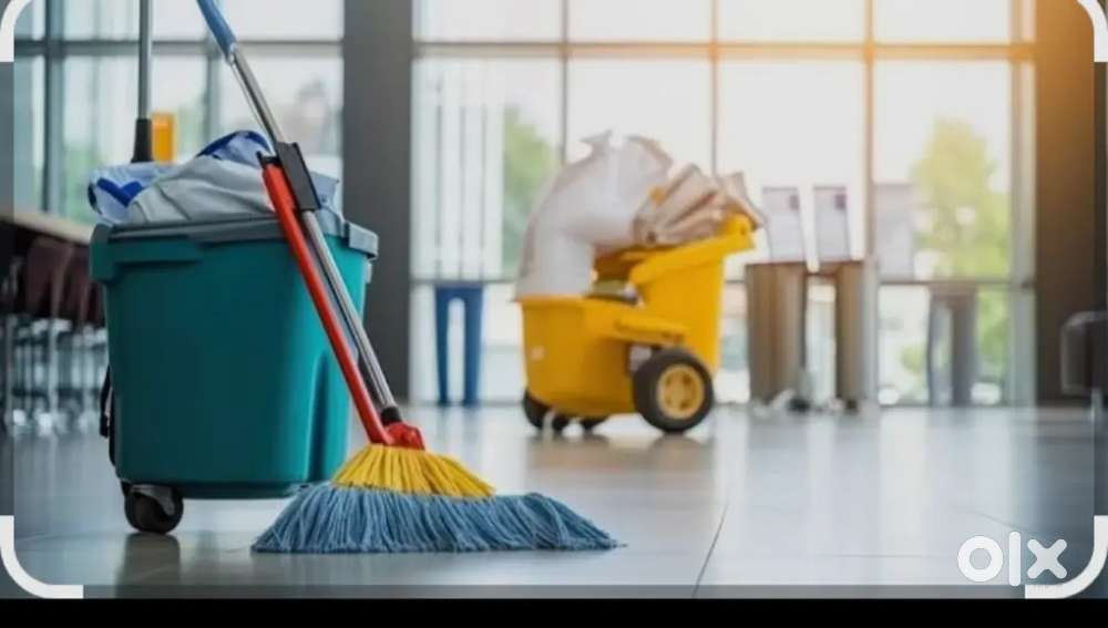 House / Flat Cleaning