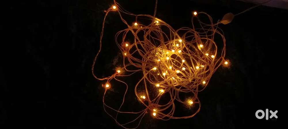 Led rope / rice  light