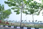 Best for Investment & Future Growth
