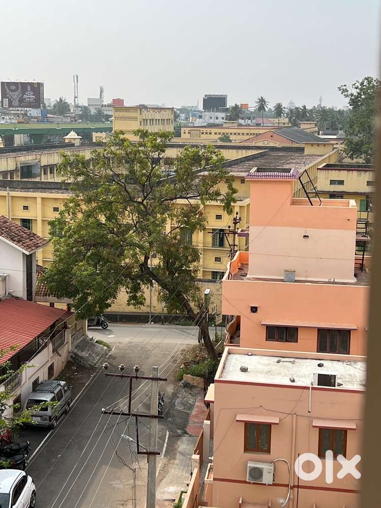 Rent Apartment in Saradha College Main Road