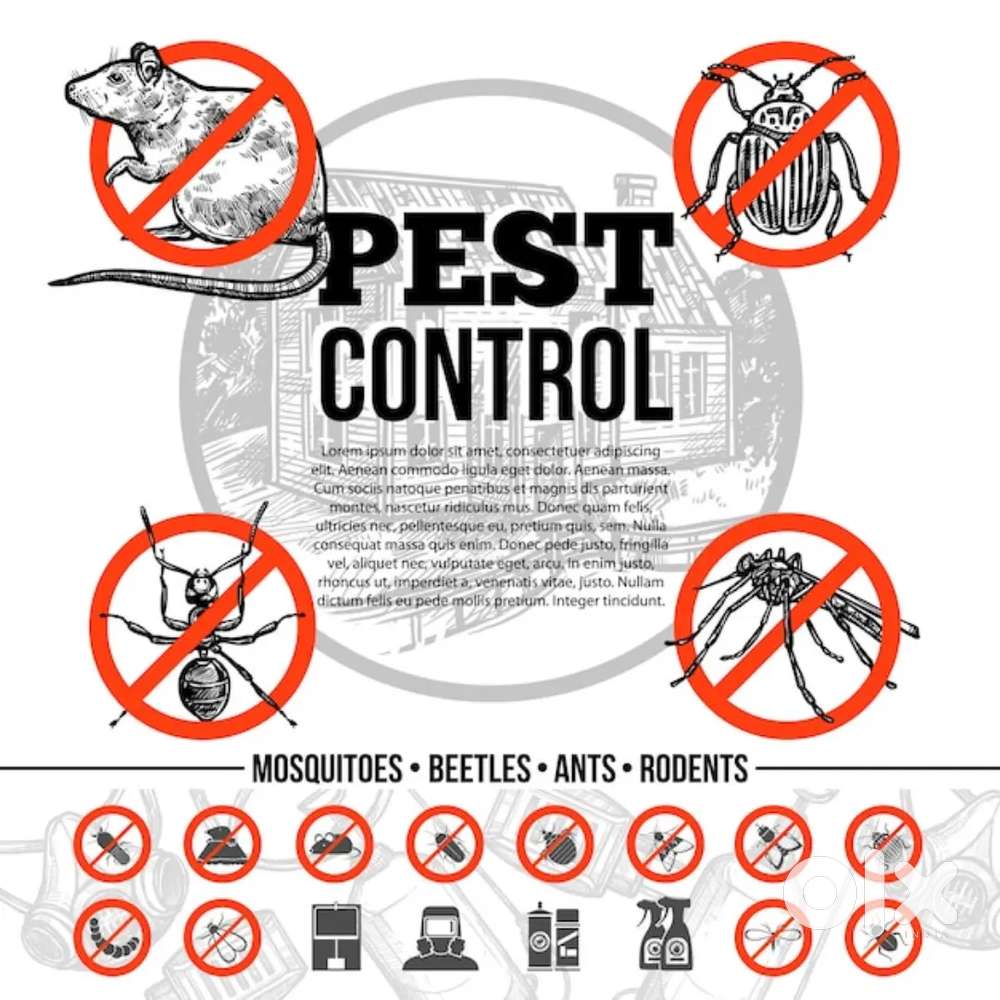 Srushti pest control services