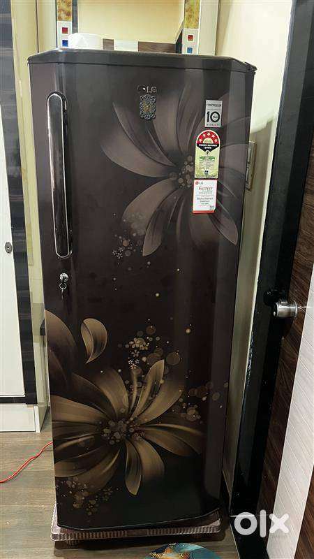 Well-Maintained Refrigerator for Sale – Great Condition & Best Price!