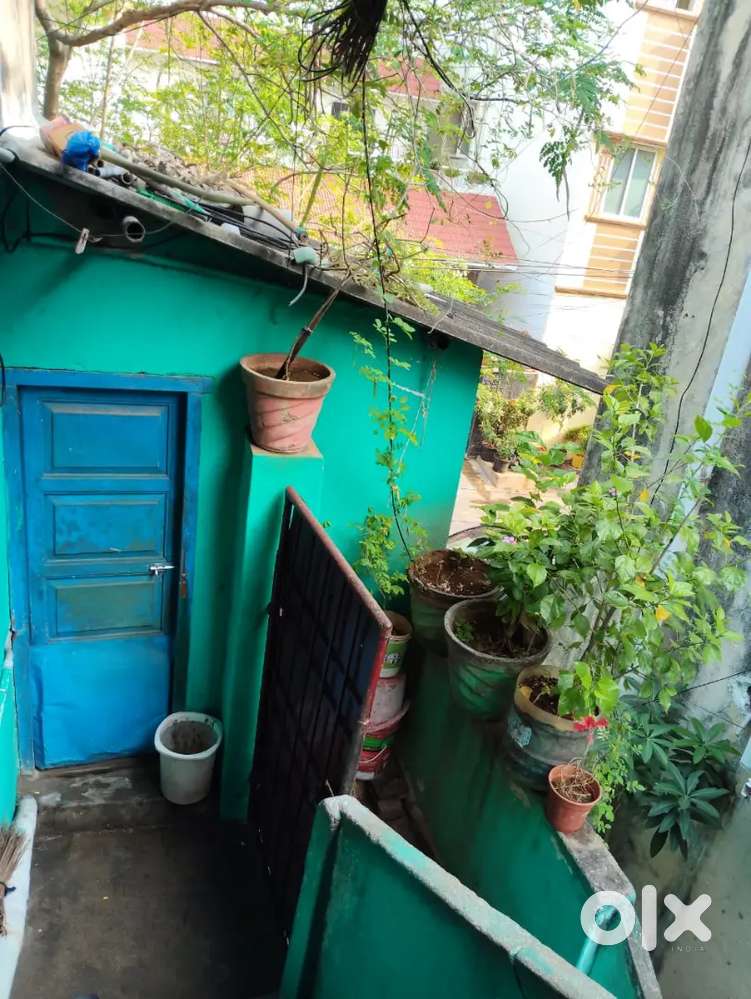 House for rent