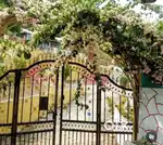 Umroi umeit  near main road urgent sale