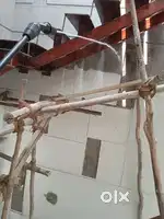 Quality Pest Solution for Residences & Commercial Establishments.