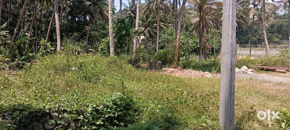 Keraladhithyapuram. Palathara near Vijaya public school.