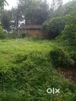 2.7 डिसमिल