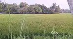 1 acre agricultural land