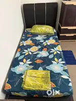 Pepperfrt Single Bed with Wakefit Matress