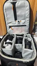 Canon EOS 5D MARK IV (24-105 KIT)