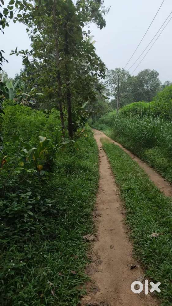 Muvattupuzha kalloorkad 3 acre 20 cent with house