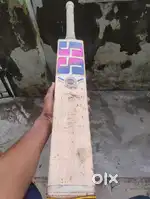 SS cricket bat