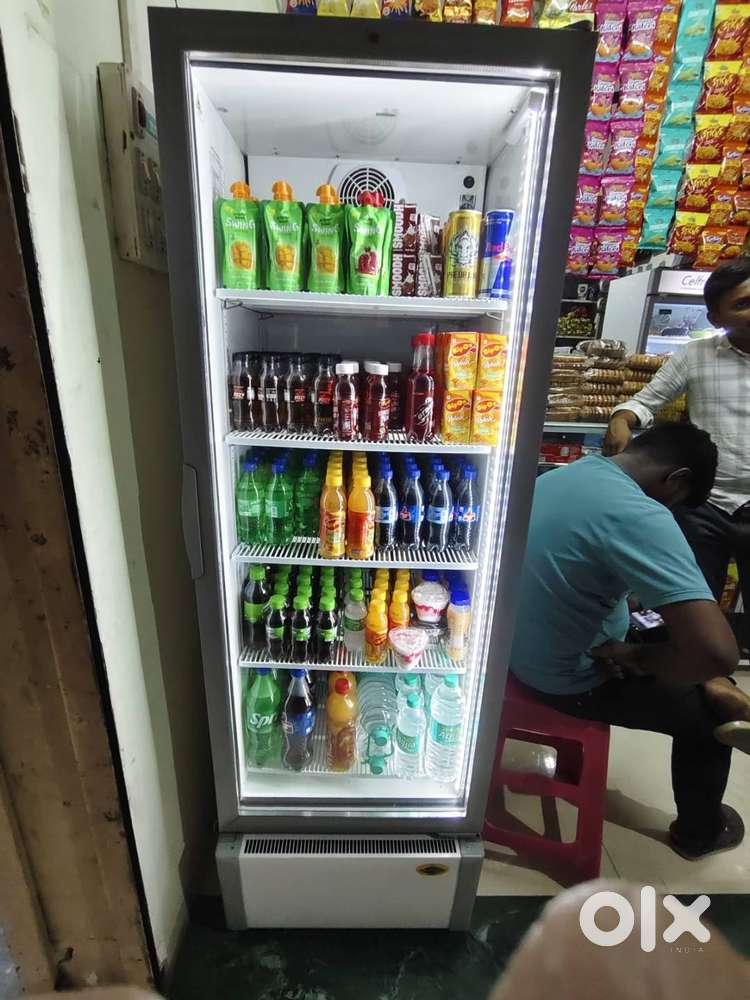 Western Company Cha 380 liter Fridge
