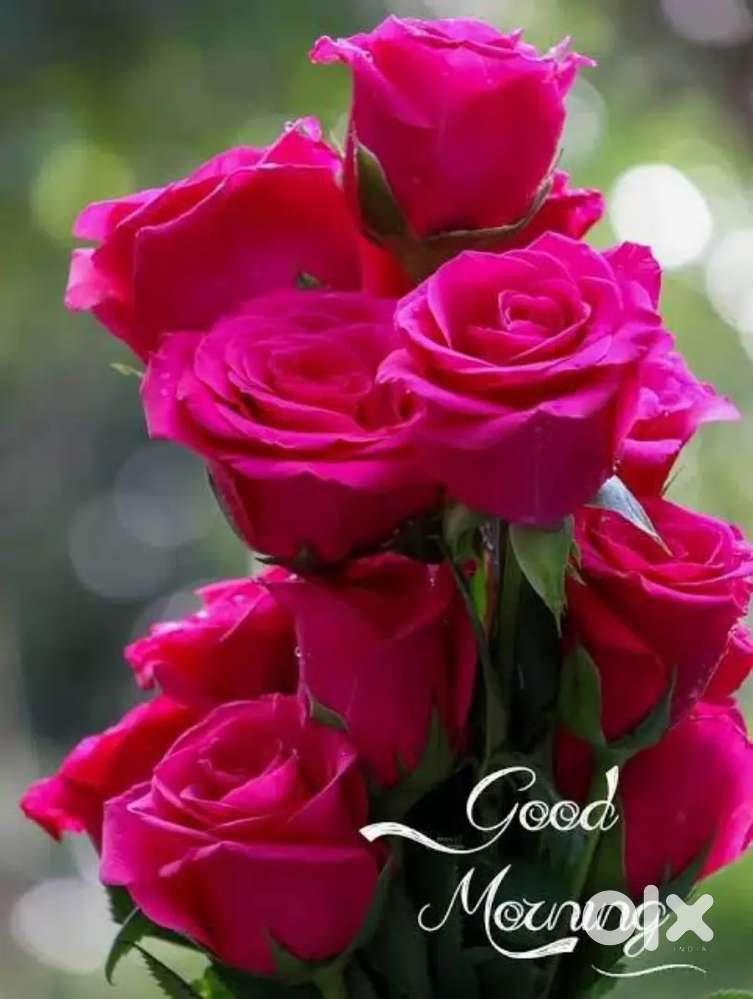 Full time .part time