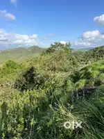 Vagamon good view