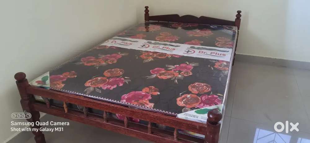 Kattil reasonable price