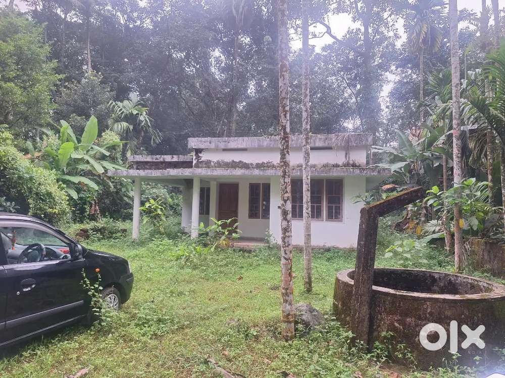 Piravom onakoor 10 cent 850 sft 3 bhk open well 500mtr busrout tar rod