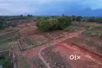 14 Cent House plot for sale in Palakkad at Para