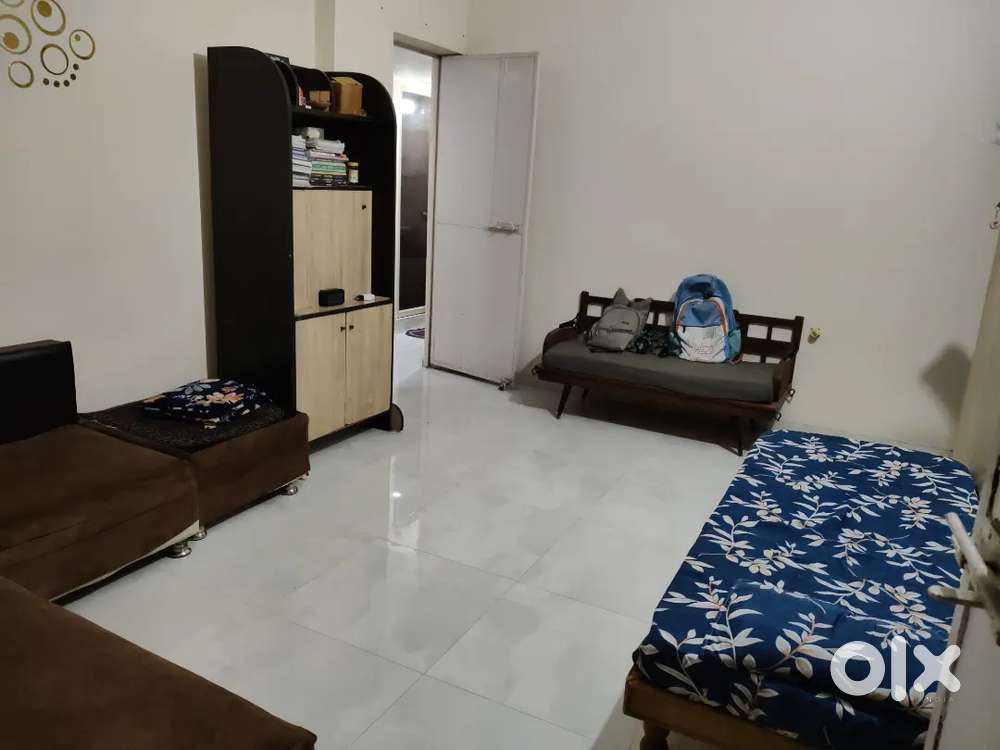 Need girl Roommate working and professional