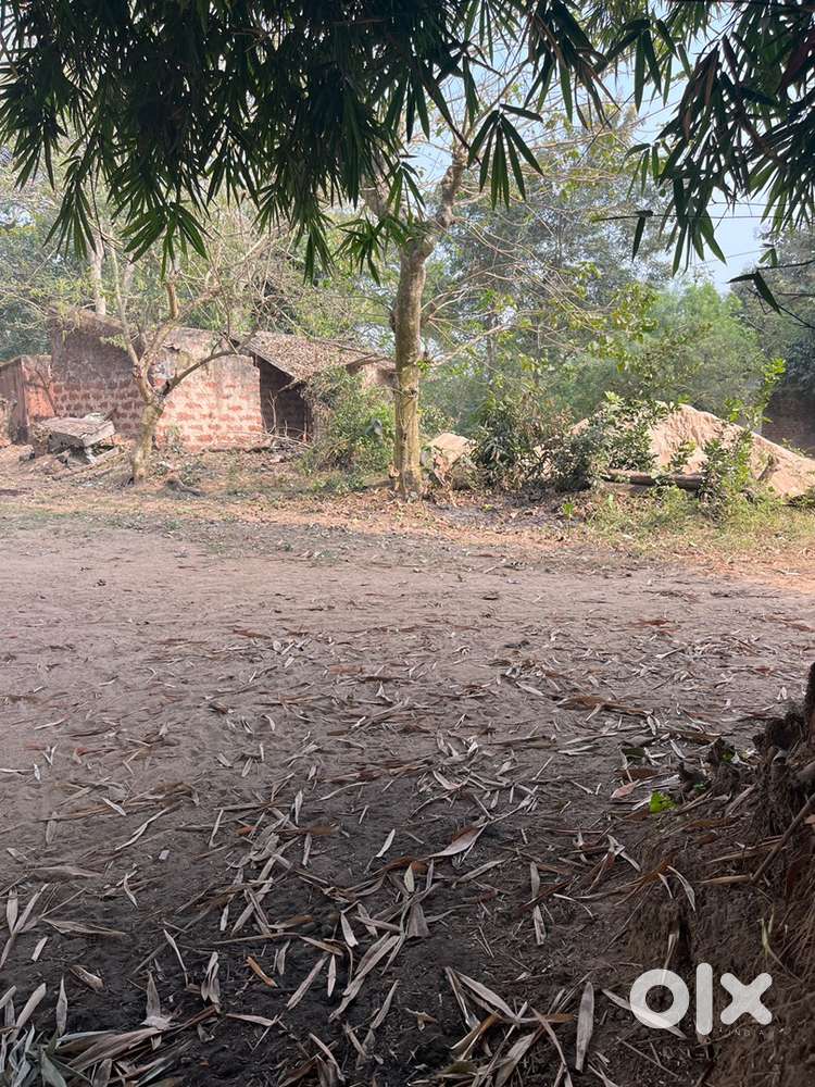 Plot For Sale In Affordable Price