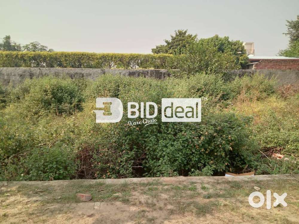 Residential Open Plot(Chohak)